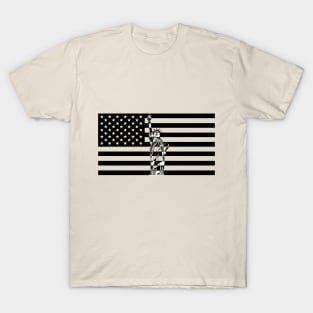 United States of America USA Flag and Statue of Liberty T-Shirt